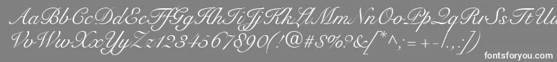 fuente SnellRoundhandScript – Fuentes Blancas Sobre Fondo Gris