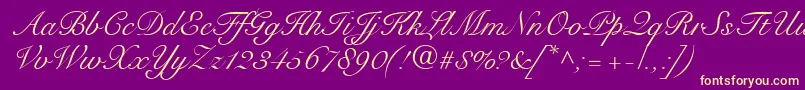 SnellRoundhandScript Font – Yellow Fonts on Purple Background