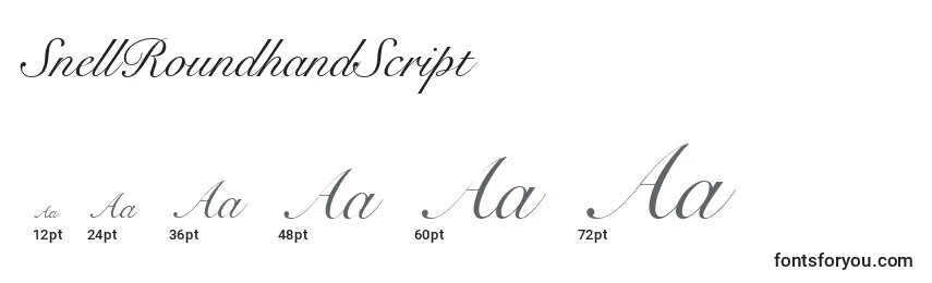 SnellRoundhandScript Font Sizes
