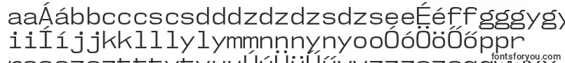 Шрифт Nk57MonospaceNoBk – венгерские шрифты