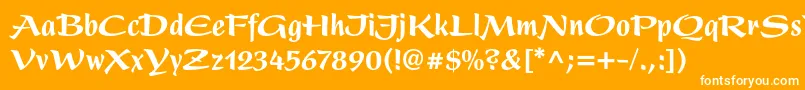 フォントPresentltstdBlackcondensed – オレンジの背景に白い文字