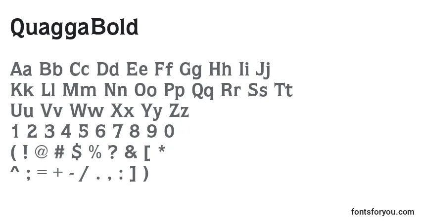 Schriftart QuaggaBold – Alphabet, Zahlen, spezielle Symbole