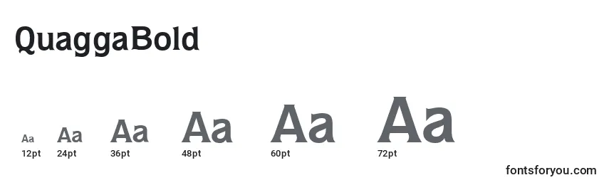 QuaggaBold Font Sizes