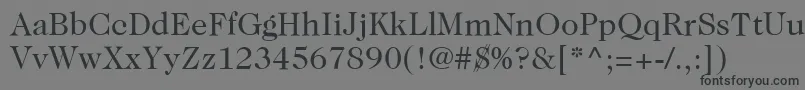 ItcCaslon224LtBook Font – Black Fonts on Gray Background