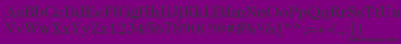 ItcCaslon224LtBook Font – Black Fonts on Purple Background