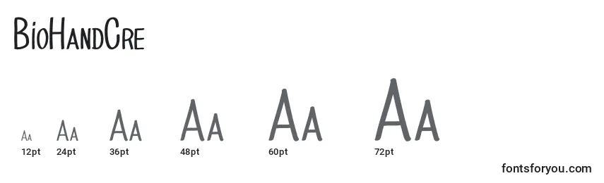 BioHandCre Font Sizes