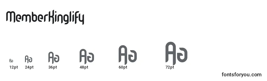 MemberKinglify Font Sizes