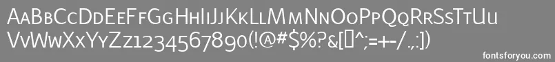 LatinairesCaps Font – White Fonts on Gray Background
