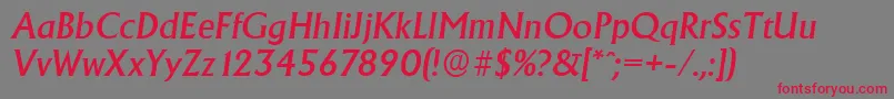 AdelonserialMediumItalic Font – Red Fonts on Gray Background