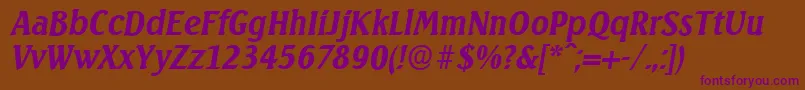 SeagullserialBolditalic Font – Purple Fonts on Brown Background