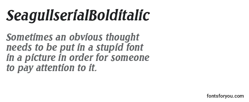 Review of the SeagullserialBolditalic Font