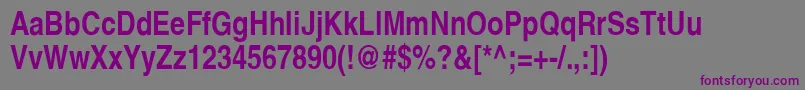 Tautology Font – Purple Fonts on Gray Background