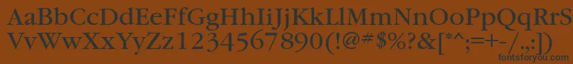 Шрифт Garamondbookctt – чёрные шрифты на коричневом фоне