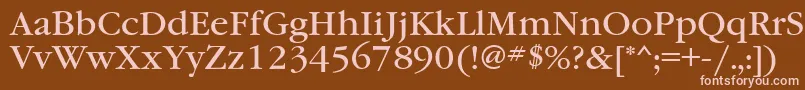 Garamondbookctt Font – Pink Fonts on Brown Background