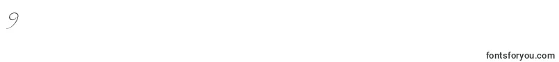 Worstveld Sling Oblique-Schriftart – Schriften für die Ziffer 9