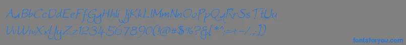 Worstveld Sling Oblique Font – Blue Fonts on Gray Background