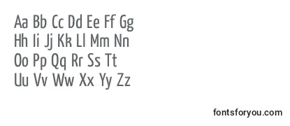 Review of the YanoneKaffeesatzRegular Font