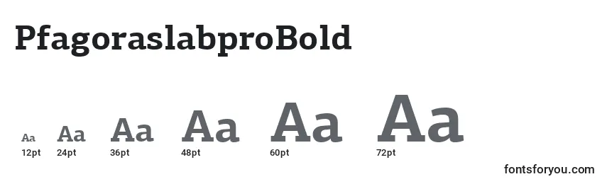 Размеры шрифта PfagoraslabproBold