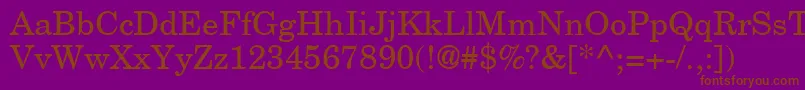 NewCenturySchoolbook Font – Brown Fonts on Purple Background