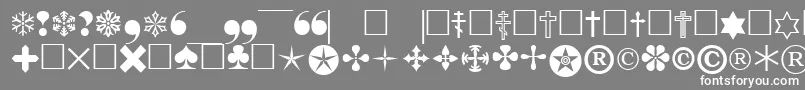 フォントPigraphbtt – 灰色の背景に白い文字