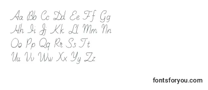 Обзор шрифта Anilazyday