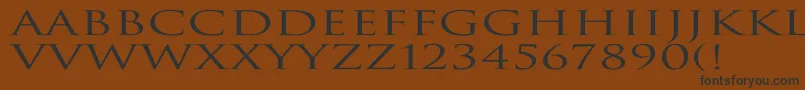 TrajanNormalEx-Schriftart – Schwarze Schriften auf braunem Hintergrund