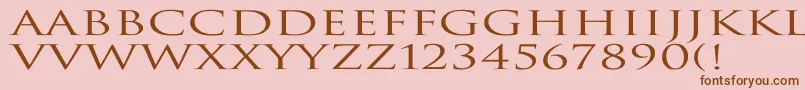 TrajanNormalEx Font – Brown Fonts on Pink Background