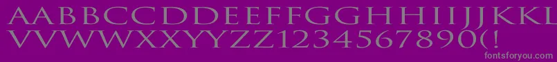 TrajanNormalEx Font – Gray Fonts on Purple Background