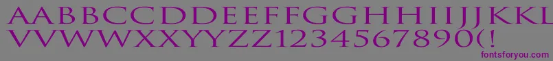 TrajanNormalEx Font – Purple Fonts on Gray Background