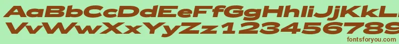 Zeppelin53BoldItalic Font – Brown Fonts on Green Background