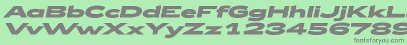 Zeppelin53BoldItalic Font – Gray Fonts on Green Background