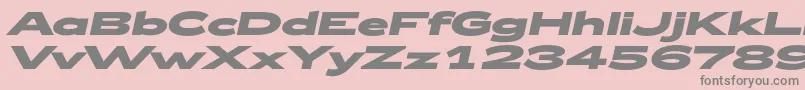 Zeppelin53BoldItalic-Schriftart – Graue Schriften auf rosa Hintergrund