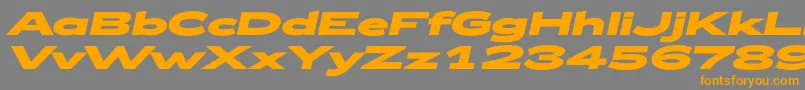 Zeppelin53BoldItalic Font – Orange Fonts on Gray Background