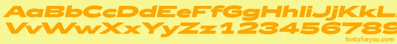 Zeppelin53BoldItalic Font – Orange Fonts on Yellow Background