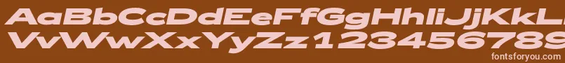 Zeppelin53BoldItalic Font – Pink Fonts on Brown Background