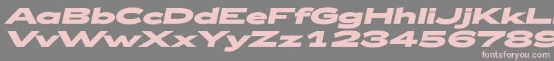 Zeppelin53BoldItalic Font – Pink Fonts on Gray Background