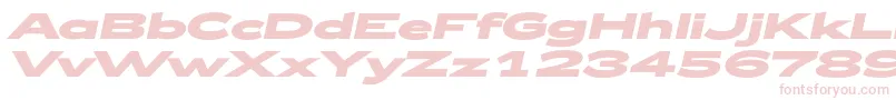 Zeppelin53BoldItalic Font – Pink Fonts on White Background