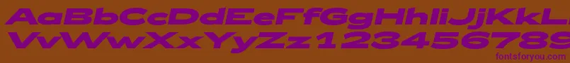 Zeppelin53BoldItalic Font – Purple Fonts on Brown Background