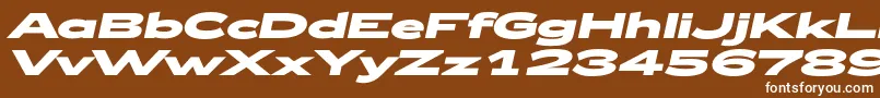 フォントZeppelin53BoldItalic – 茶色の背景に白い文字