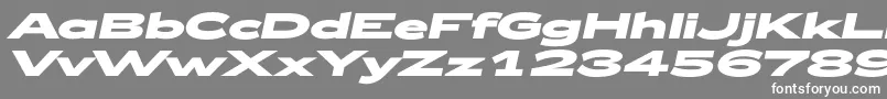 Zeppelin53BoldItalic Font – White Fonts on Gray Background