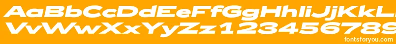 Zeppelin53BoldItalic Font – White Fonts on Orange Background