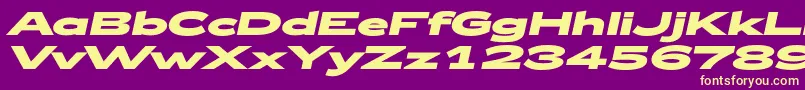 Zeppelin53BoldItalic Font – Yellow Fonts on Purple Background