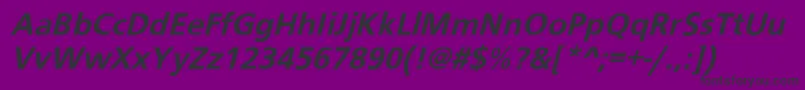 フォントSchraneroblBol – 紫の背景に黒い文字