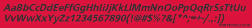 SchraneroblBol Font – Black Fonts on Red Background