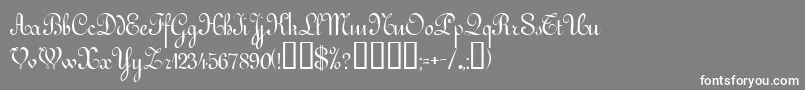 フォントVictorianNormal – 灰色の背景に白い文字