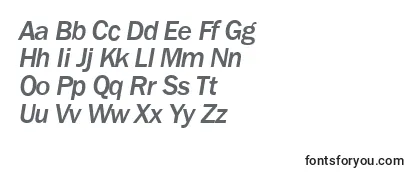 Review of the FranklingothicnewMediumItalic Font