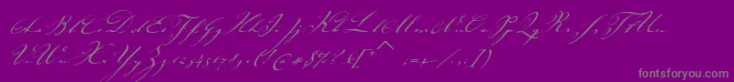 JohannsparklingitcTt-Schriftart – Graue Schriften auf violettem Hintergrund