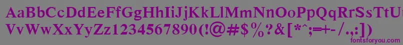Dutchbd-fontti – violetit fontit harmaalla taustalla
