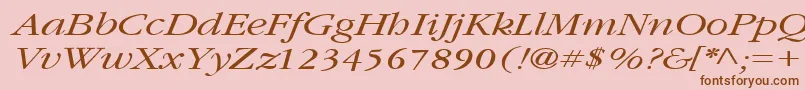 GarnetbroadItalic Font – Brown Fonts on Pink Background