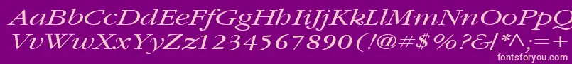 Шрифт GarnetbroadItalic – розовые шрифты на фиолетовом фоне